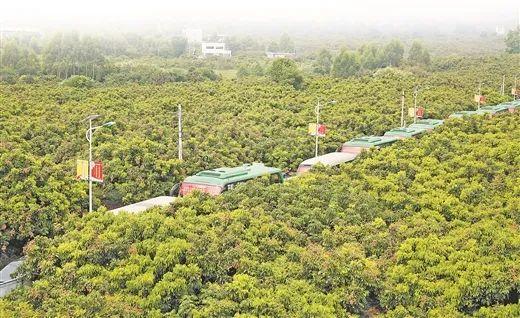 重點縣名單公布 柳州這里入選