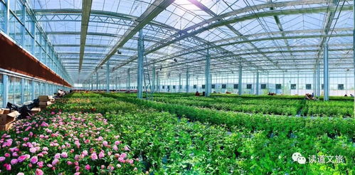 鄉村振興 錢從哪來 錢往哪去