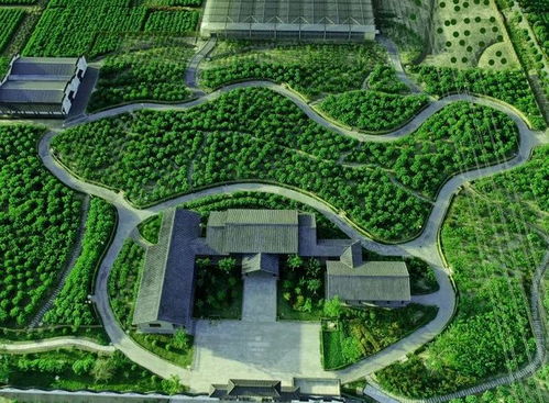 恭喜 鹽城這5個鎮 全國首批