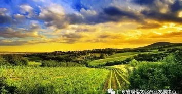 文化 農業 旅游 一場農業文旅小鎮大爆炸