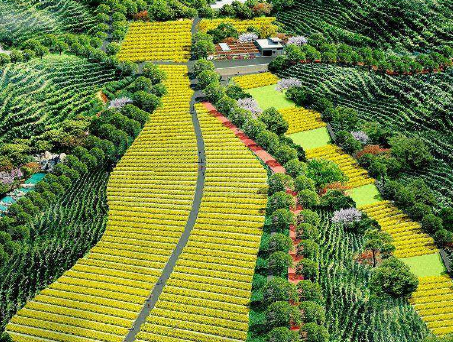 如何利用&ldquo;四荒地&rdquo;發展休閑農業與鄉村旅游?