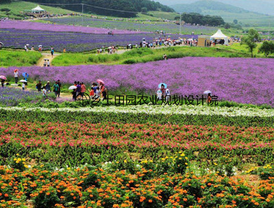 休閑農業有哪些發展案例可以借鑒?