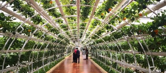 30種休閑農業開發模式大集錦