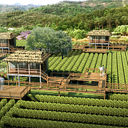 江西宜春天心茶園旅游綜合開發項目 - 北京東方創美旅游景觀規劃設計院-旅游地產、農業旅游、古城古鎮、文化產業