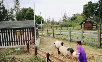 全國六大醉美田園綜合體爆點和模式分享