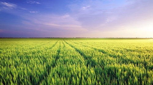 康養(yǎng)旅居 休閑農(nóng)業(yè) 旅游地產(chǎn),未來10年中國最大的投資機(jī)會(huì)