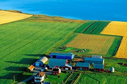 什么是家庭農(nóng)場 支持農(nóng)業(yè)轉(zhuǎn)型家庭農(nóng)場,具體會(huì)有什么好處