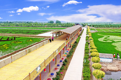 【我們的&ldquo;金飯碗&rdquo;②】四十里店村:魚米之鄉新時尚