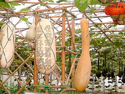 煙臺本地人告訴你開發區、福山區、牟平區有什么好玩