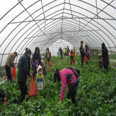 重慶市圣墾農(nóng)業(yè)開發(fā)