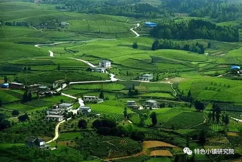 農(nóng)村集體用地如何開發(fā) 3大類別6種方式