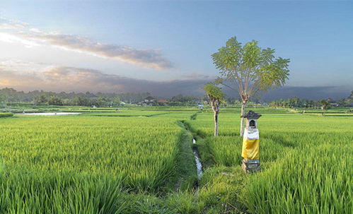 17幫農(nóng) 休閑農(nóng)業(yè)和鄉(xiāng)村旅游是農(nóng)業(yè)新機遇