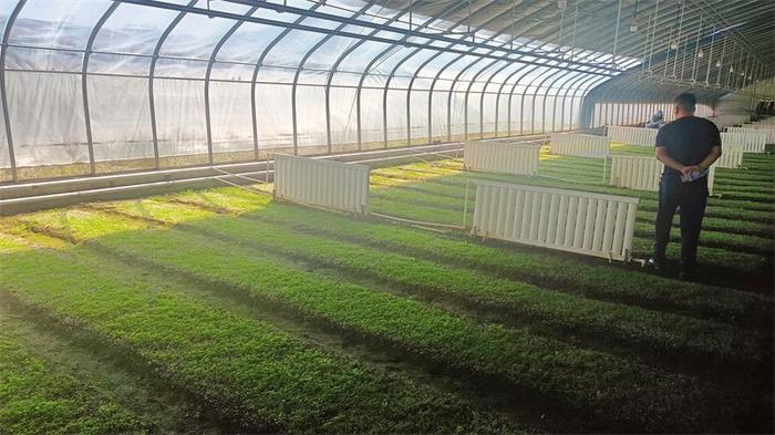 西北中藥材種質(zhì)資源收集保護與開發(fā)利用研討會專家學(xué)者實地調(diào)研甘肅中醫(yī)藥產(chǎn)業(yè)發(fā)展