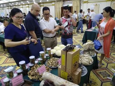 崇左市參加2018年廣西食用菌投資合作項(xiàng)目推介洽談會(huì)