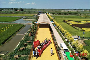 寧夏稻漁空間示范帶動(dòng)全區(qū) 農(nóng)業(yè) 旅游 經(jīng)濟(jì)發(fā)展