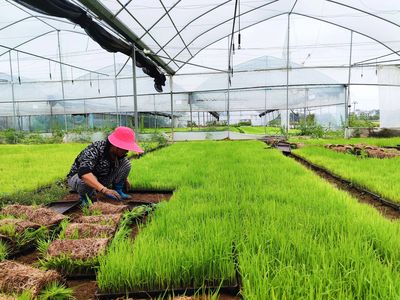 贛州開發區黨務公開網-- 三江鄉:春耕好時節 早稻插秧忙 - 讓經開書香彌漫 讓讀書蔚然成風 - 蟠龍鎮:筑牢安全生產防線 - 【簡訊】 - &ldquo;2023贛州消費提振年&rdquo;暨汽車消費券發放啟動儀式在經開萬達廣場舉行 - 本區資訊