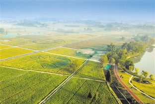 成都構建七大共享平臺 服務全省鄉(xiāng)村振興