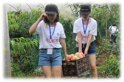 青春三下鄉(xiāng)|重慶工商大學商務策劃學院推動武隆電商發(fā)展,助力武隆扶貧開發(fā)