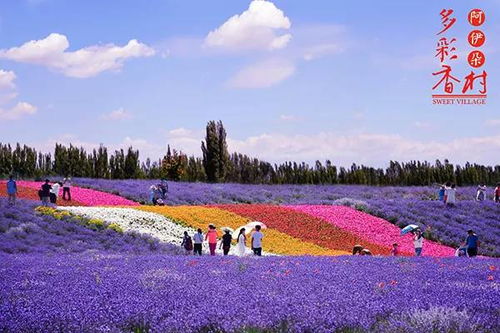 農(nóng)秀才 農(nóng)業(yè)農(nóng)村部推薦100個休閑農(nóng)業(yè)和鄉(xiāng)村旅游精品景點線路