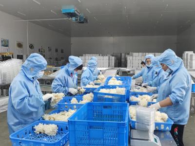 &ldquo;建黨百年 紅色追憶--全國網(wǎng)絡名人看商洛&rdquo;主題宣傳活動走進商州