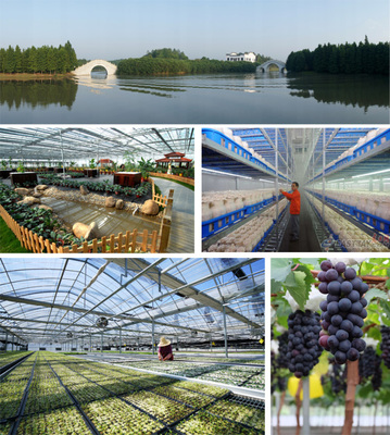 五四公司以五大舉措奏響殷實農場建設最強音