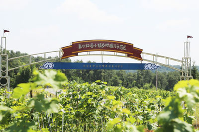 重慶:生態農業旅游示范區引領鄉村產業發展