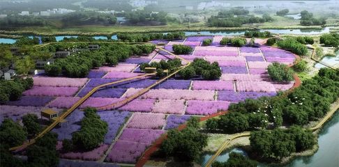 文博堂告訴你現代農業產業園區開發模式及五大運營模式!