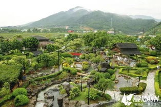 厲害了湖州的這個村 今天這里開了國家級的大會