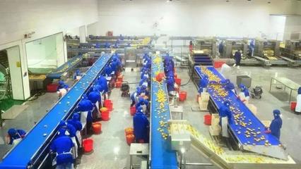 開(kāi)局之年看經(jīng)濟(jì)③ | 江淮&ldquo;豐&rdquo;景 &ldquo;皖&rdquo;美繪就