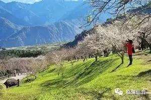 如何區分鄉村旅游和休閑農業這兩個概念