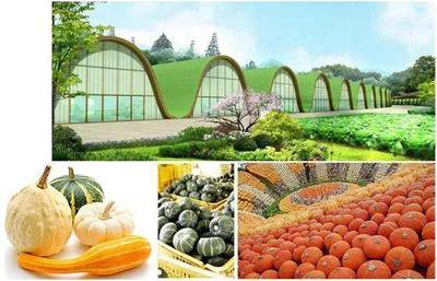 重大招商項目 現代農業、電子信息及農業旅游開發