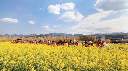 2019年休閑農業與鄉村旅游業的推進策略與發展路徑