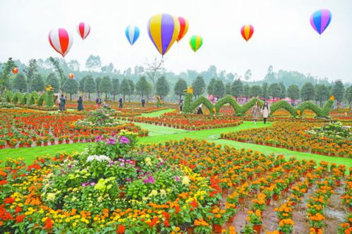 擦亮“銀岳池”金字招牌 探索農業旅游開發新路徑