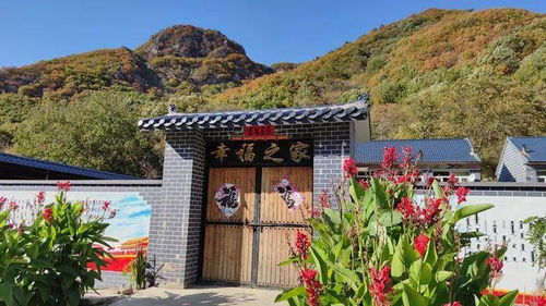 這里，迎來了農業旅游最佳觀賞季