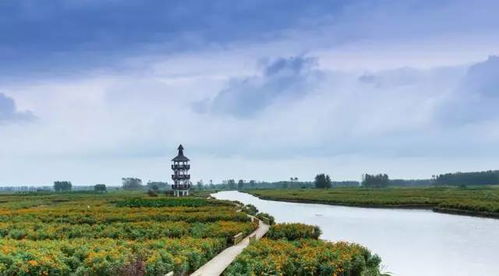 牛興化入圍全國休閑農業和鄉村旅游綜合發展實力10強縣 農業旅游開發的典范