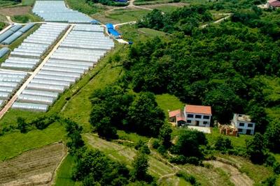 十九大時光 農業科技創新助力西藏民生改善與農業旅游開發