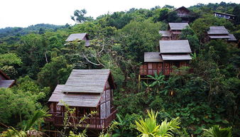 農業旅游開發新路徑 中國旅游民宿產業創新與生態發展論壇在海南舉辦