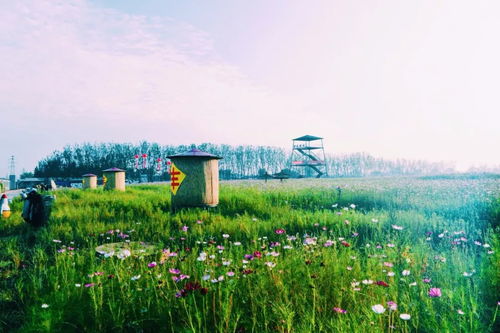 稻?？椊饓簦苠世镉蛠怼洸苠榈诙玫净ü澟c農業旅游新篇章