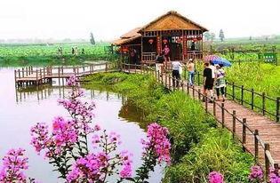 鄉村旅游不止于農家樂 六大創新模式引領農業旅游開發新篇章