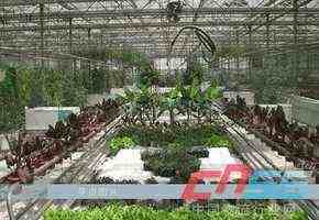 涼水生態農業與旅游開發 構建綠色經濟新典范